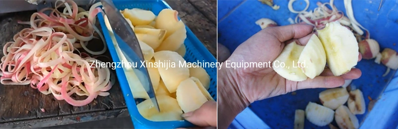 Professional Automatic Apple Pear Skin Peeler Core Remover and Cutter with CE